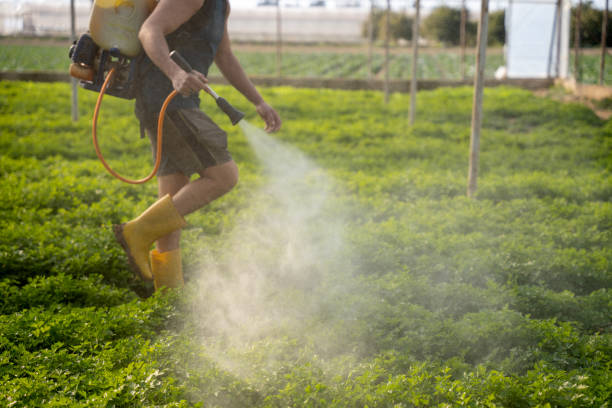 Best Pest Removal Services  in Gardnertown, NY