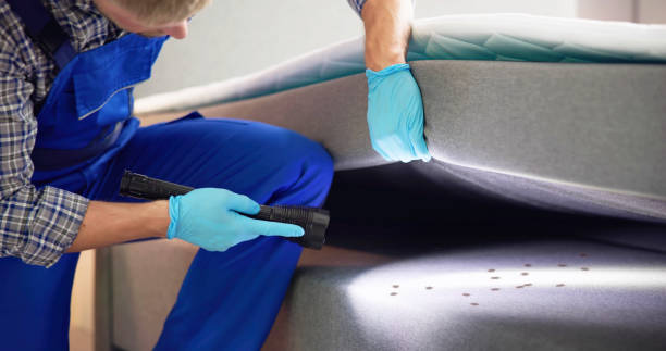 Best Rat Extermination Near Me  in Gardnertown, NY