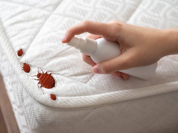 Best Pest Control Near Me  in Gardnertown, NY
