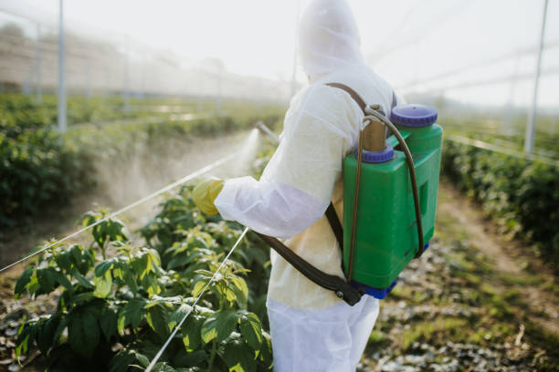 Best Pest Control for Businesses  in Gardnertown, NY